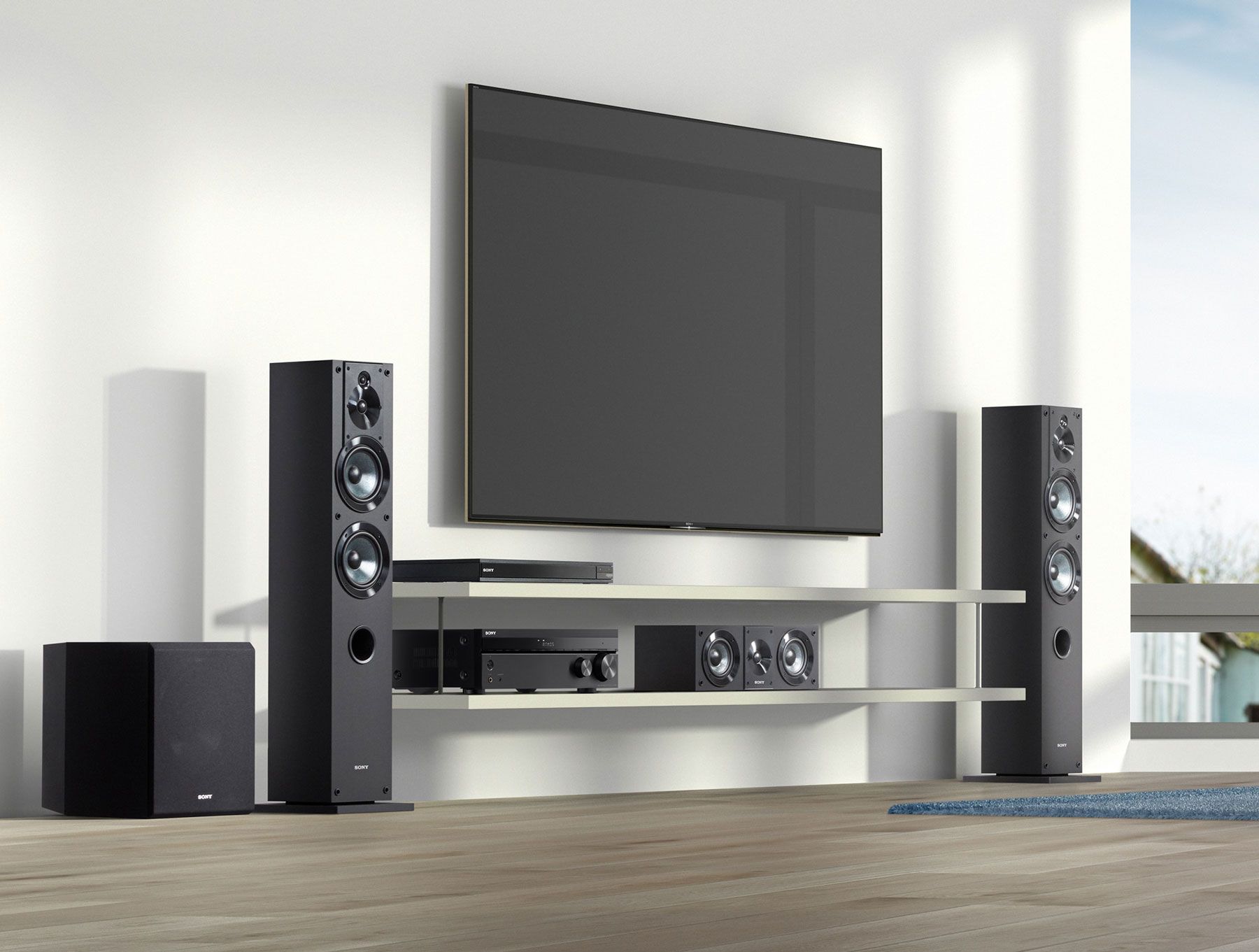Sony TV and Audio System